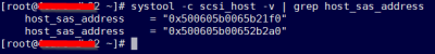  SAS Host mapping IDs erkennen