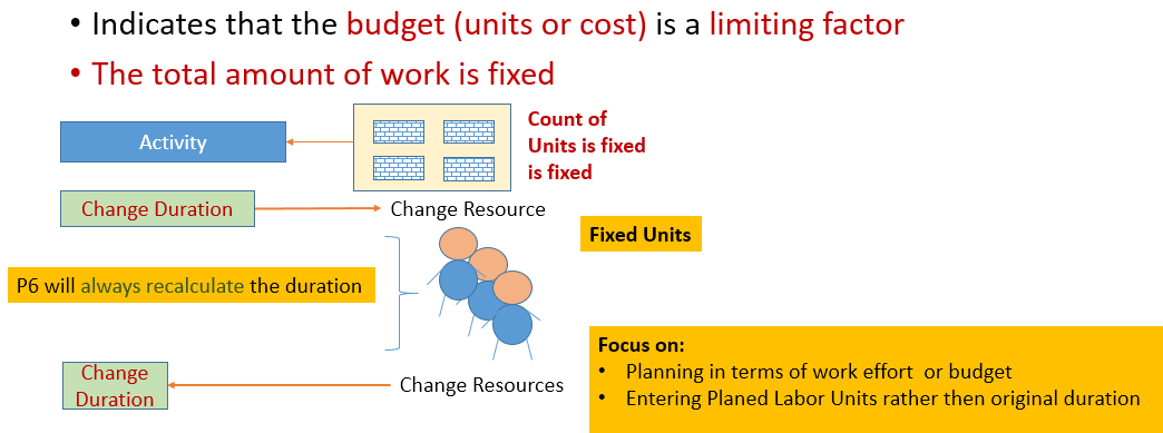  Oracle Primavera Fixed Units