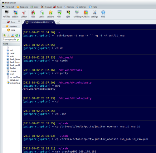  SSH Key in MobaXterm verwenden 